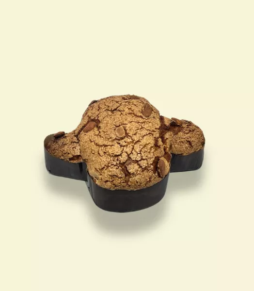colombe-500.webp